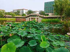 -西海子公园