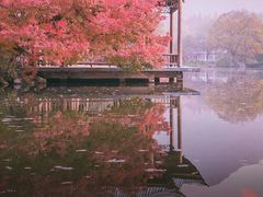 -西湖外事游船(花港观鱼码头)