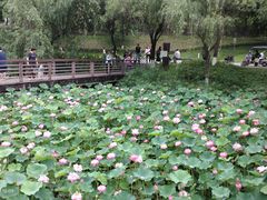 -沐仙湖湿地公园