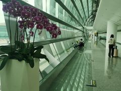 -南宁吴圩国际机场-T2航站楼