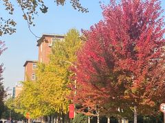 -辽宁大学(崇山校区)