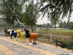 -大连铭湖国际观光牧场