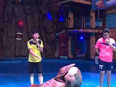 -烟台海昌鲸鲨海洋公园