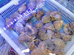 -日照大牌檔•小船海鲜(万平口店)
