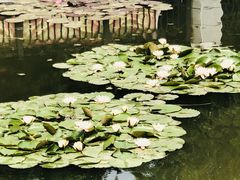 -大连植物园