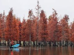 -白鹭湾湿地公园