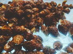 -博林天瑞喜来登酒店·西丽尚膳