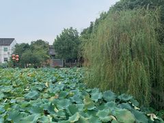 -丝绸小镇荻港古村
