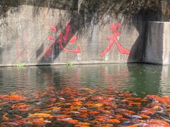 -千岛湖东南湖区
