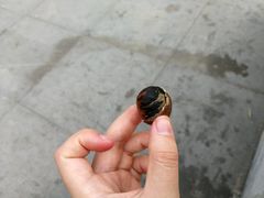 -秋栗香(地安门店)