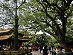 -普陀山风景区-佛顶山
