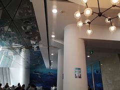-贝林大翅鲸简餐厅(国家海洋博物馆店)