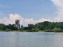-大湾区中央湿地公园