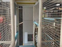 -嗨马乐动室内潮玩运动·团建·轰趴·桌游(南丰汇店)