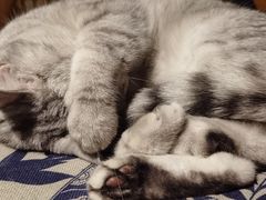 -不舍昼夜咖啡馆