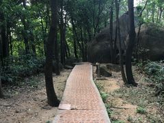 -龙头山森林公园·停车场