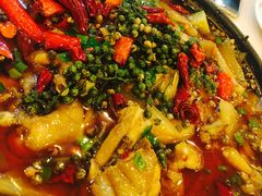 馋嘴蛙-红京鱼(西坝河店)