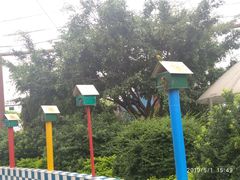 -百万葵园