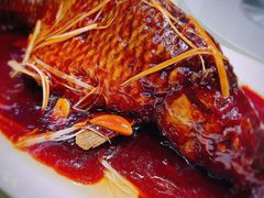 罾蹦鲤鱼-陈傻子餐厅(世纪都会店)