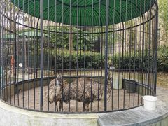 -上海崇明金茂凯悦酒店