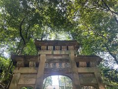 -缙云山景区