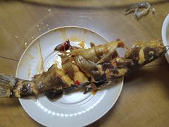 -九寨沟石锅鱼(沣峪口二十年店)