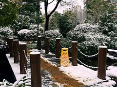 -新湖明珠城