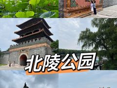 -北陵公园