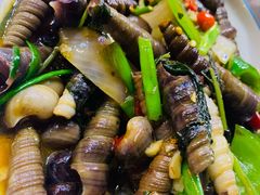炒钉螺-湛江海鲜食府(一号路店)