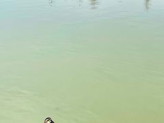 -海珠湖公园