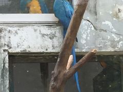 -无锡动物园·太湖欢乐园