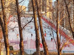 -丁香湖公园