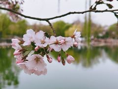 -陶然亭公园