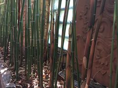 竹圃-朱家小厨(红塔西路店)