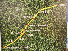 -莫尔道嘎国家森林公园