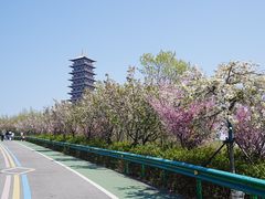 -大伊山景区