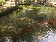 -水磨沟公园
