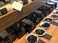 -去茶山