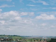-空港花田景区