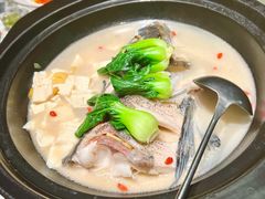 -7017浙菜•建德味(中财店)
