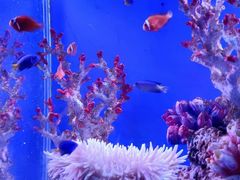 -海合安武汉极地海洋公园