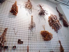 -娜娜家•Nana’Garden (福州道店)