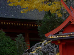 -奈良公园