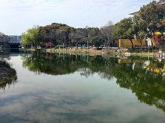 -新江湾城公园