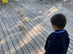 -珠海海泉湾神秘岛亲子乐园