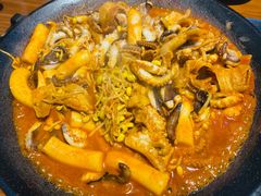 -红辣椒八爪鱼特色韩国料理