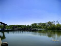 -溱湖国家湿地公园