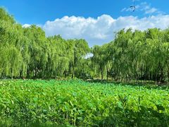 -东升八家郊野公园
