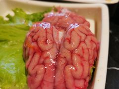 -杨家火锅(国美店)