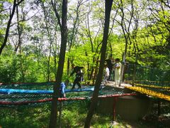 -原山国家森林公园